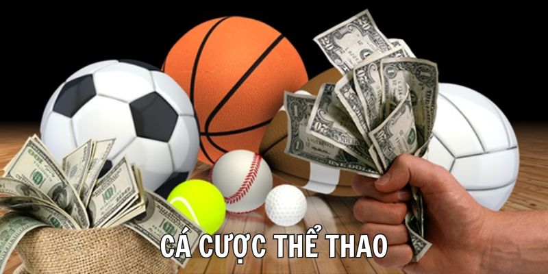 cá cược thể thao