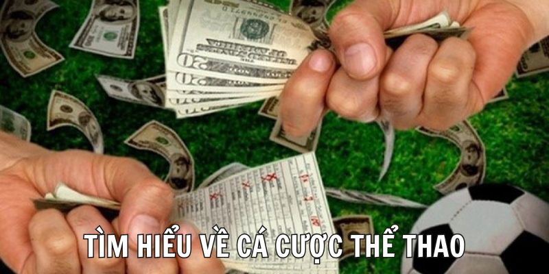 Hình thức giải trí thu hút đông đảo bet thủ tham gia